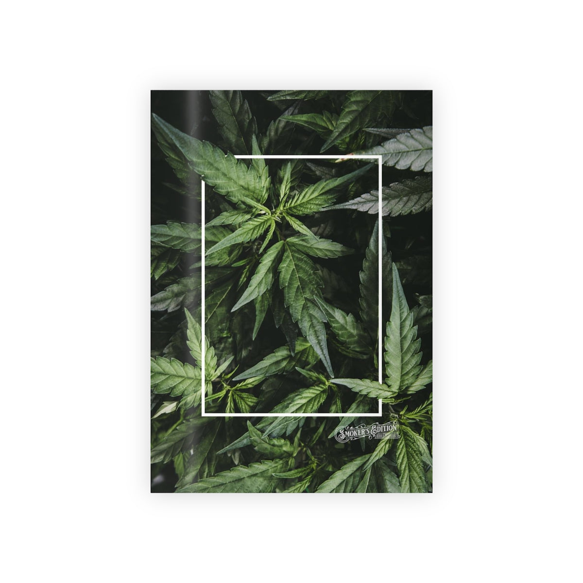 Nature's Black tie Wrapping Paper Rolls, 1pc